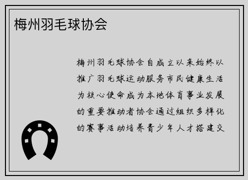 梅州羽毛球协会